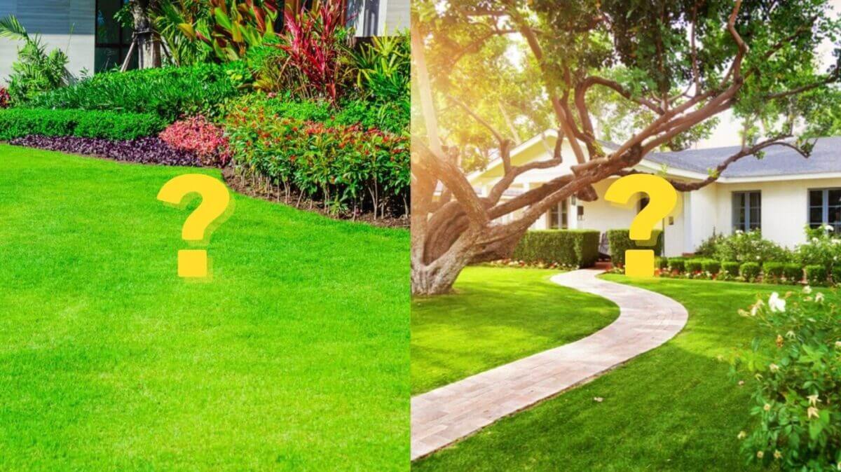 yard vs lawn