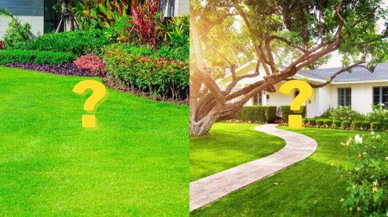 yard-vs-lawn-learn-the-difference